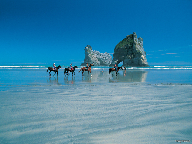 Wharariki Beach Nelson Tony Brunt