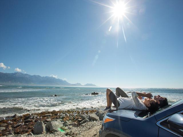 kaikoura Canterbury Sara Orme